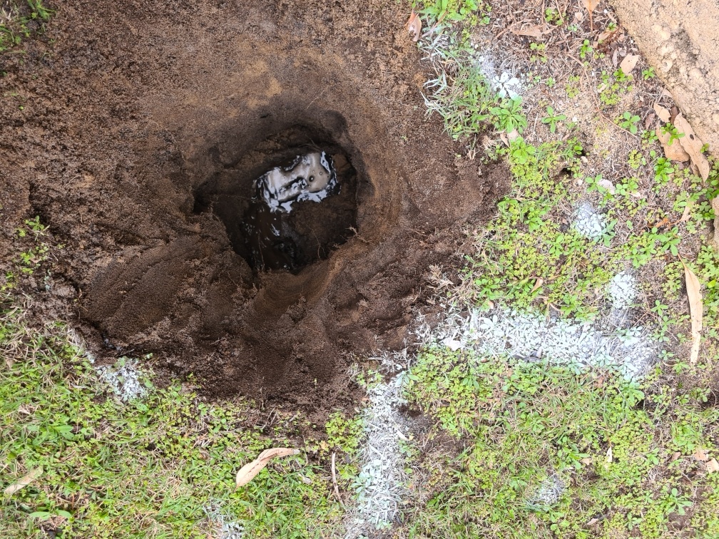 Leak Detection in Leschenault